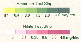 Test Strips