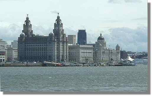 Liver Building